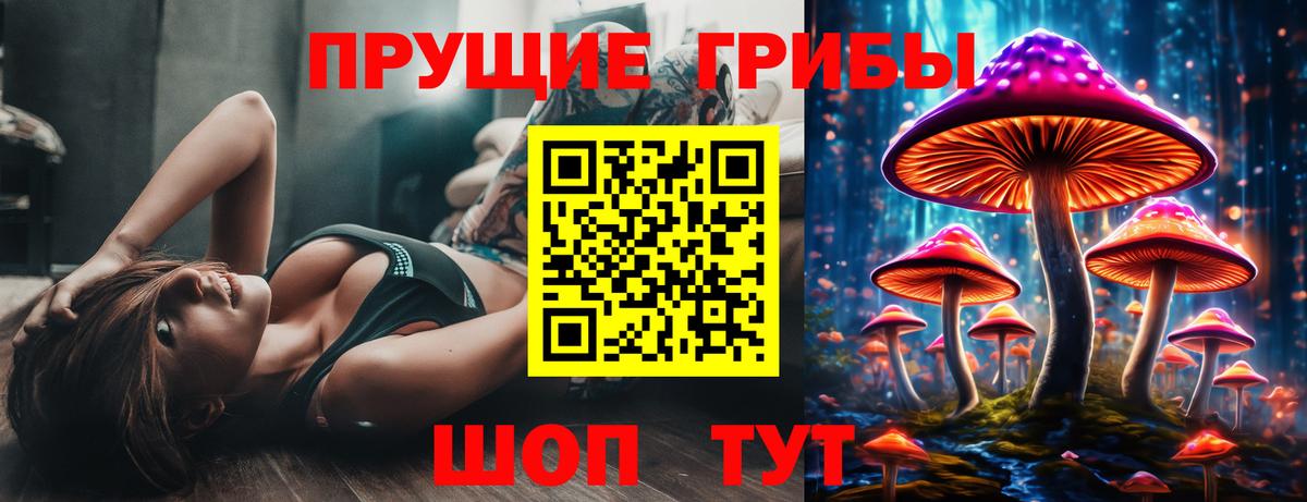 Кумертау  Галлюциногенные грибы Cubensis  Вход с VPN 